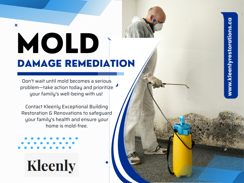 Mold Damage Remediation